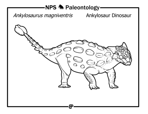 Ankylosaurus Magniventris Coloring Page